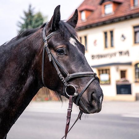 Schwarzes Ross Hotel Arnsdorf  Luaran gambar